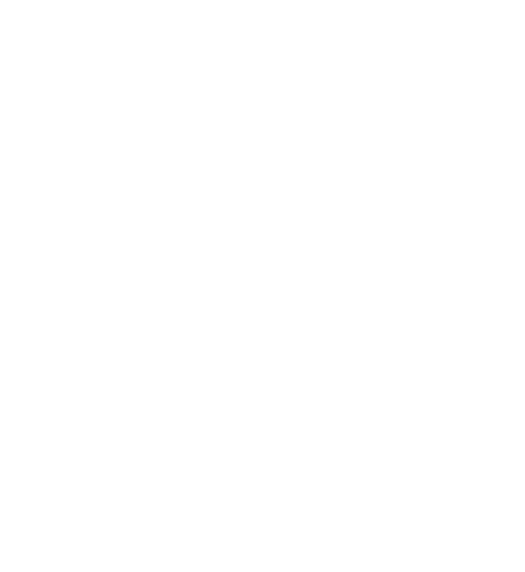 Eic